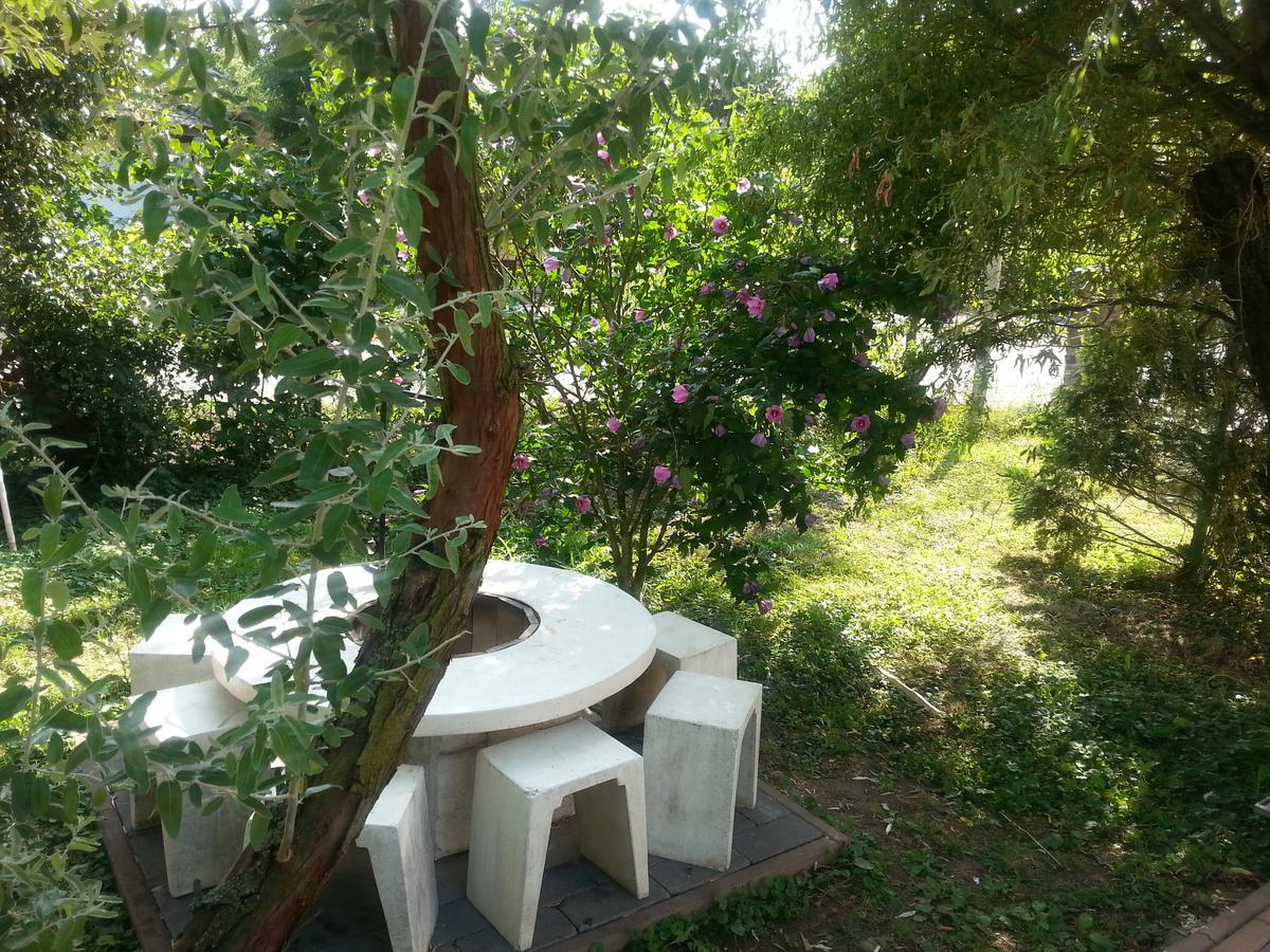 Felso Fogado Bed & Breakfast Felsotold Exterior photo